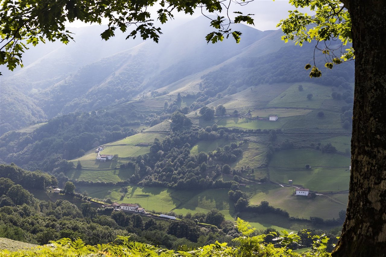 Biografía de Blanca de Navarra en la historia medieval